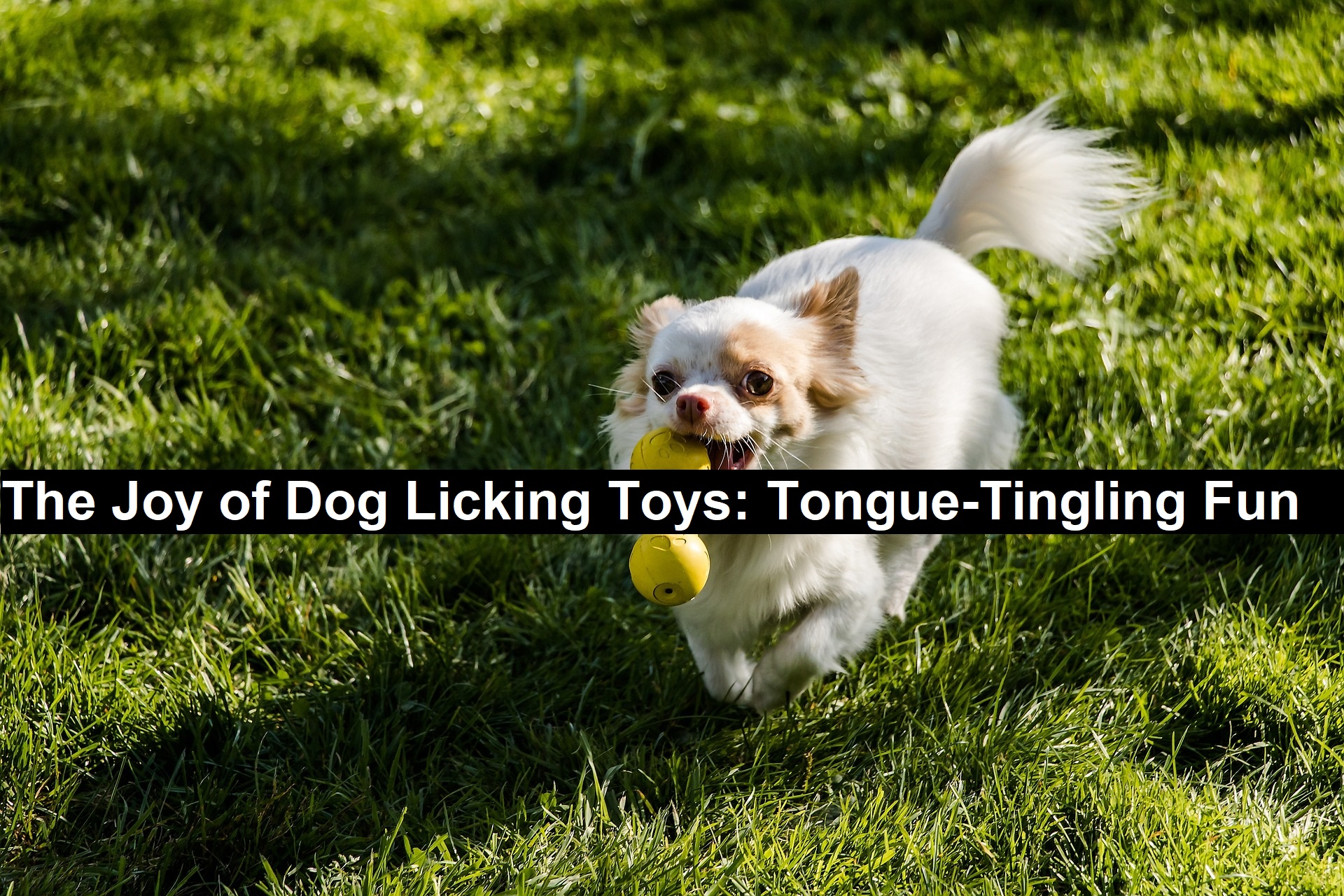 Tongue-Tingling Fun