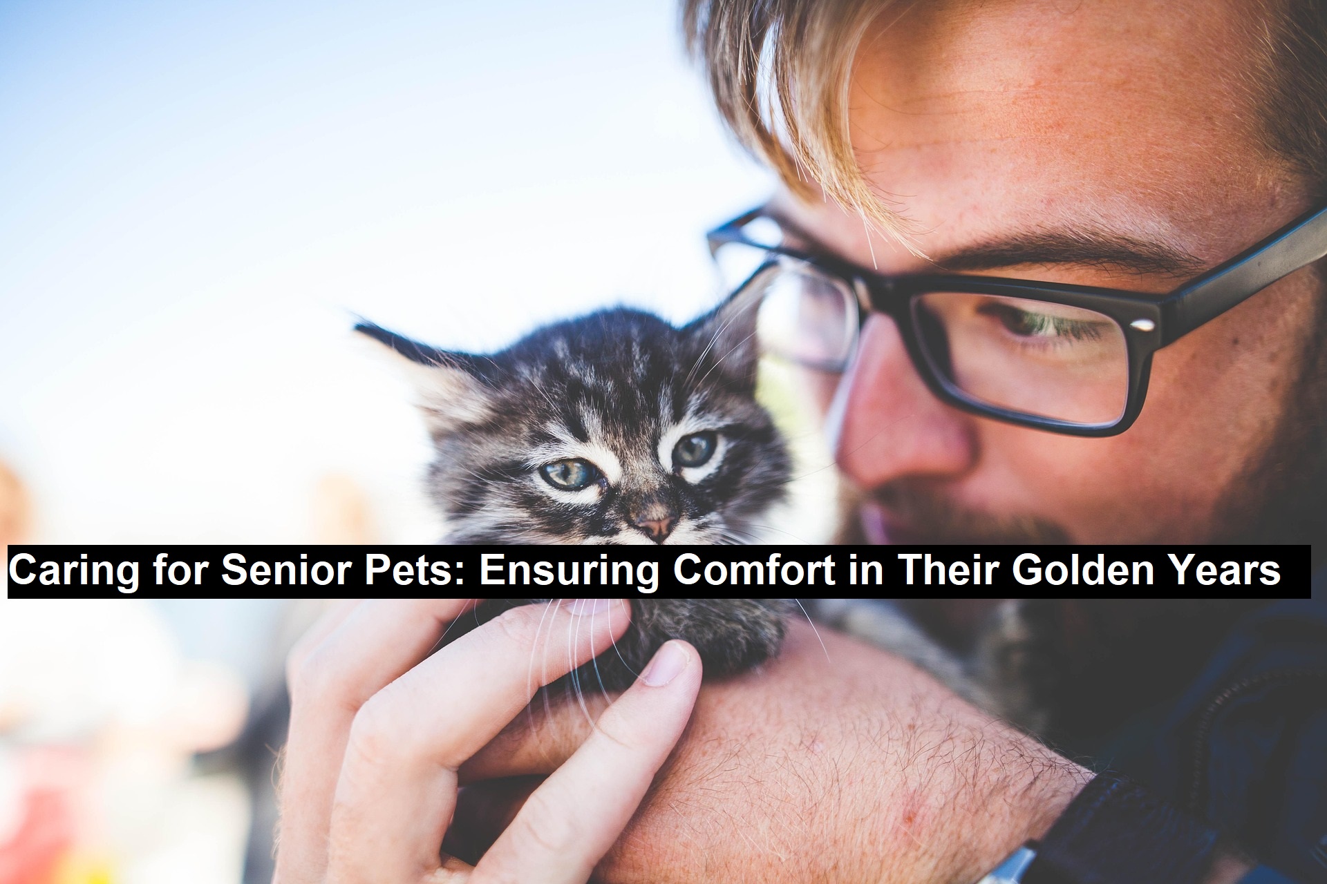 Senior Pets